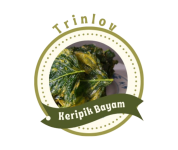 Keripik Bayam Trinlov